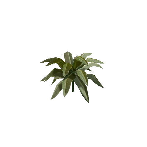 Tropical Plant 1 (Type 1)